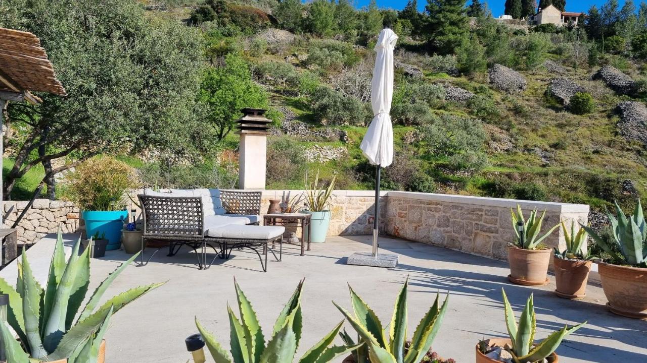 House Agava